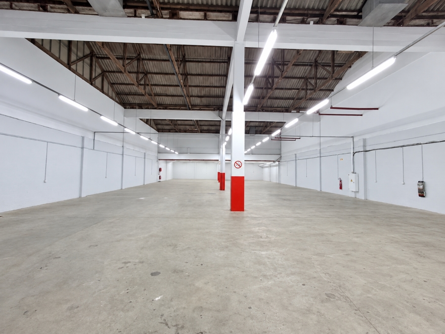 To Let Commercial Property for Rent in Arcadia Eastern Cape